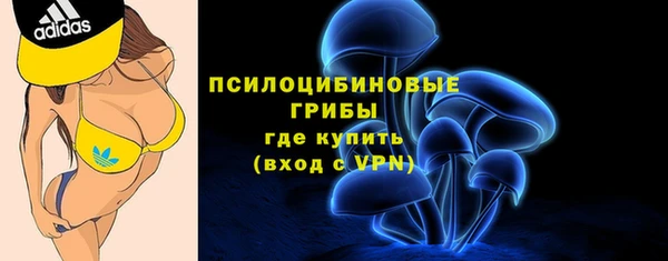 спайс Медвежьегорск