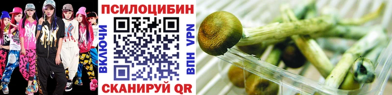 Псилоцибиновые грибы Psilocybine cubensis  Абакан 